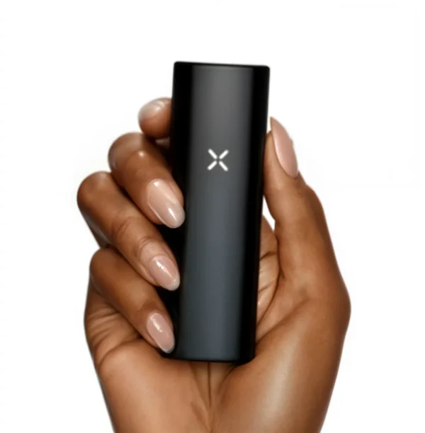 PAX Mini 1